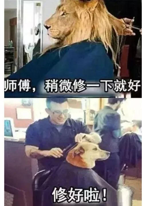 tony是什么意思（理发师“Tony老师”含义解析）