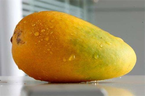 韭菜是什么季节的蔬菜（水果蔬菜自然成熟的时间表）