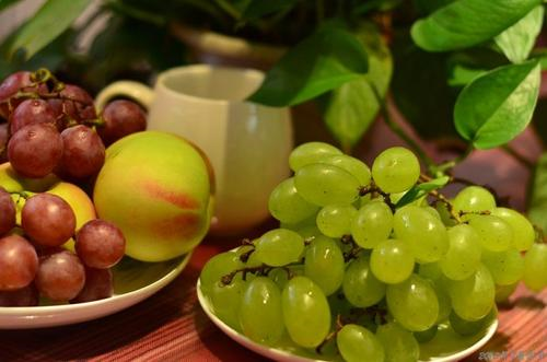 杏子是什么季节的水果（水果蔬菜自然成熟的时间表）