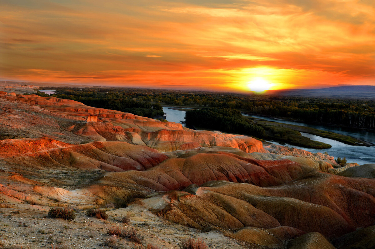 中原地区种植葡萄始于哪个朝代（揭秘葡萄传入中原的时期）