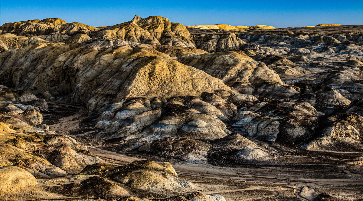 中原地区种植葡萄始于哪个朝代（揭秘葡萄传入中原的时期）