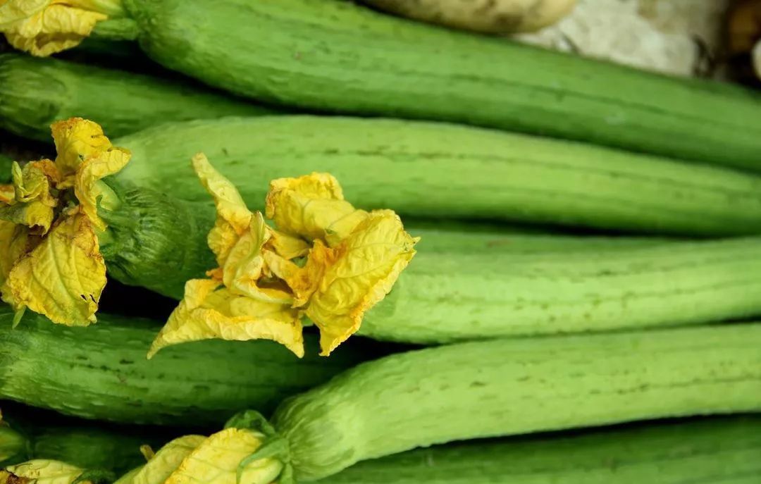 丝瓜炒鸡蛋怎么炒好吃（丝瓜炒鸡蛋的正确做法）