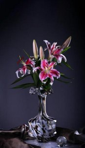 ​吴秀波现在怎么样了(吴秀波身价多少亿)