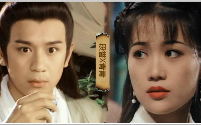 天龙八部家族名（天龙八部的六大家族）