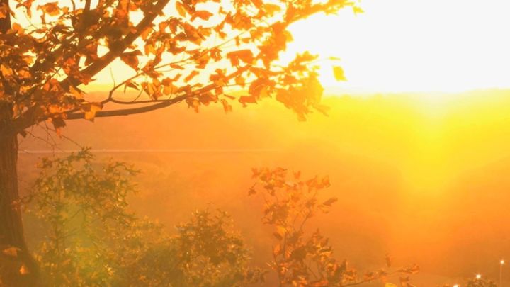 黄配什么颜色好看（掌握搭配黄色的3点“色彩搭配”技巧）