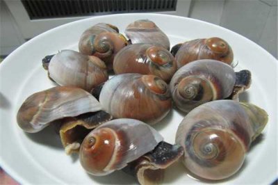 ​香螺的尾部是黄还是屎 香螺怎么洗才能洗的干净