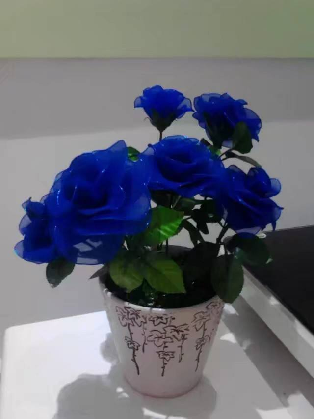 为什么不能送女朋友蓝色妖姬（解读蓝色妖姬的花语含义）