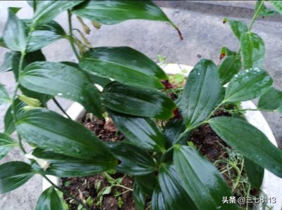 ​现在承包土地赚钱吗(承包土地种植什么挣钱)