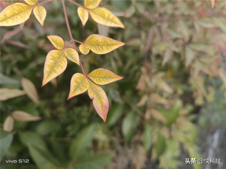 vivos12参数详情配置（轻松续航一整天）