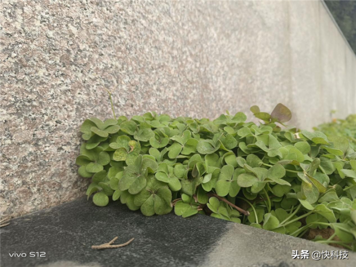 vivos12参数详情配置（轻松续航一整天）