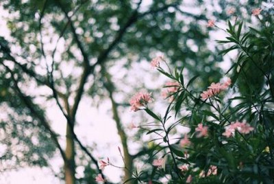 ​志不同不相为谋的意思是什么（解读4句名言的含义）