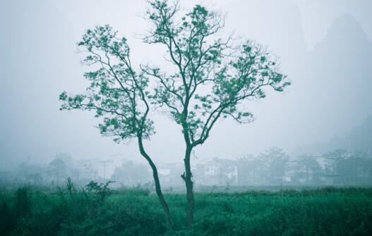 志不同不相为谋的意思是什么（解读4句名言的含义）