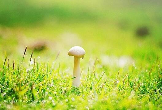 志不同不相为谋的意思是什么（解读4句名言的含义）