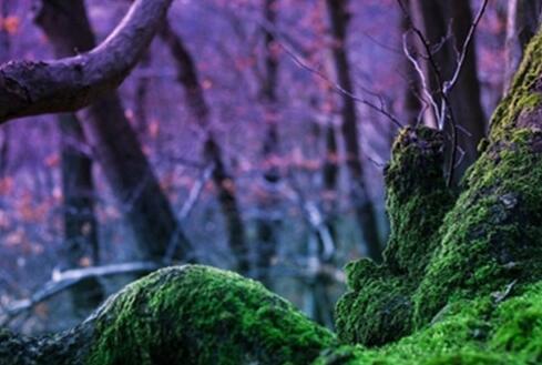 志不同不相为谋的意思是什么（解读4句名言的含义）