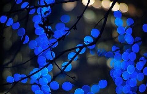 志不同不相为谋的意思是什么（解读4句名言的含义）