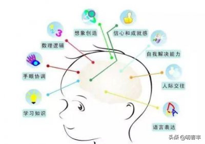 ​左脑和右脑的区别和分工（右脑及左脑的功能介绍）