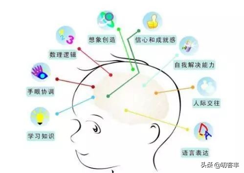 左脑和右脑的区别和分工（右脑及左脑的功能介绍）