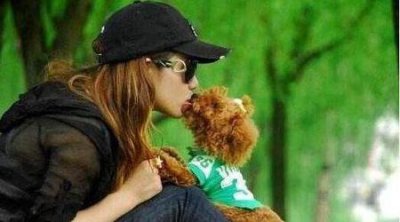 ​女孩子养泰迪公的好?还是母的好