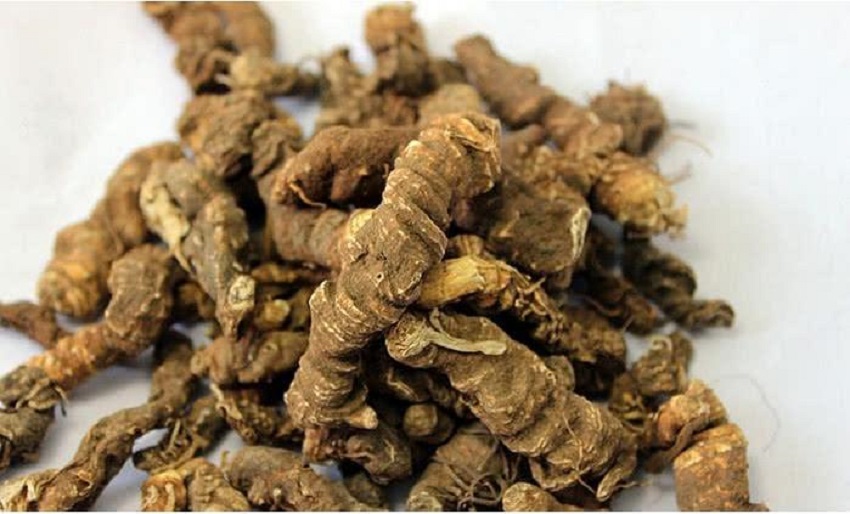 珍贵药材种植（干货分享药材种植的小妙招）