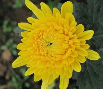 ​家里老人去世心里会有点害怕