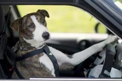 ​写给男朋友的挽回信，挽回男朋友思路方法流程