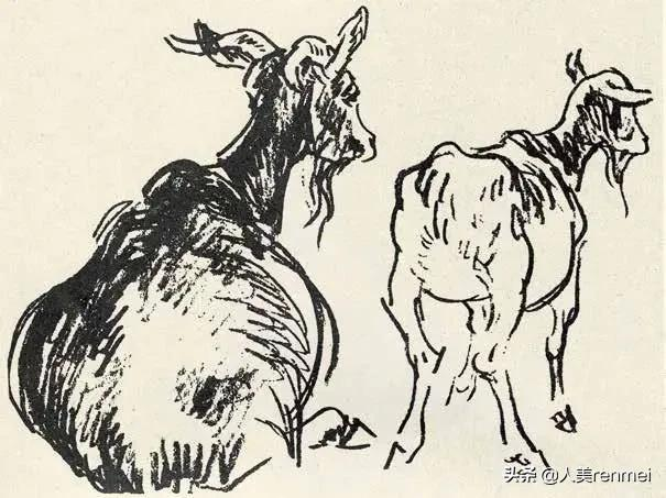 羊的简笔画怎么画（7种山羊简笔画画法教程）