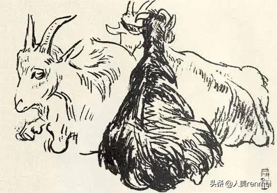 羊的简笔画怎么画（7种山羊简笔画画法教程）