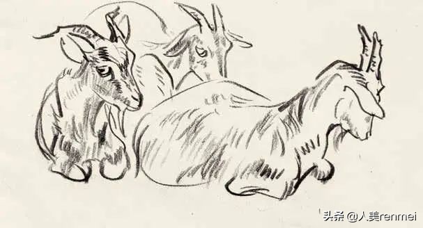 羊的简笔画怎么画（7种山羊简笔画画法教程）