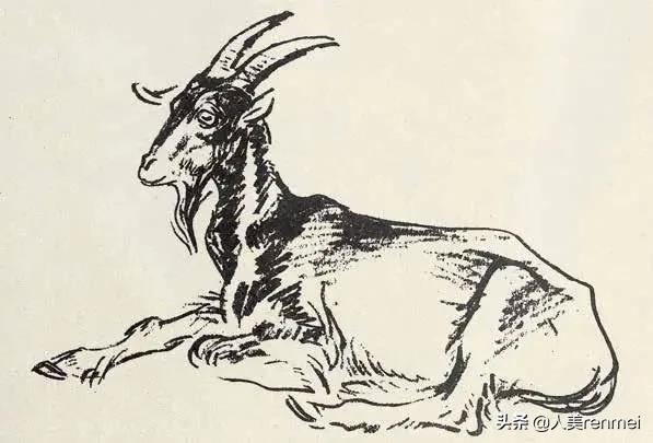 羊的简笔画怎么画（7种山羊简笔画画法教程）