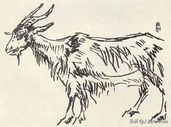 羊的简笔画怎么画（7种山羊简笔画画法教程）