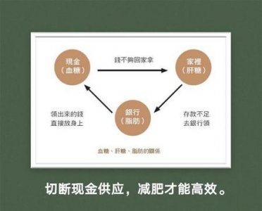 ​怎么做才能达到减肥的效果(怎么才能达到减脂的效果)