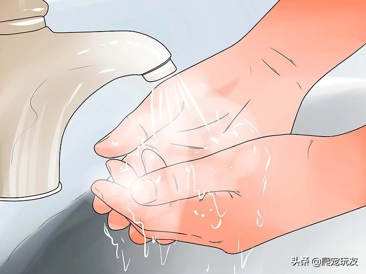 乌龟喜欢人摸它哪里（正确的抚摸乌龟的方式和注意事项）