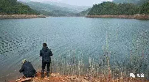 水库养鱼一亩投放多少鱼苗（水库鱼种放养技巧和注意事项）