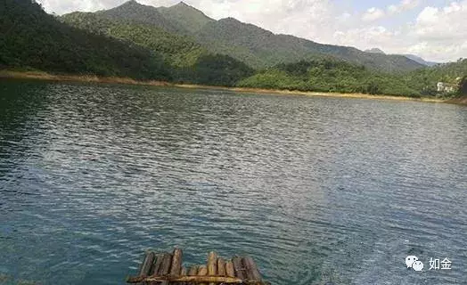 水库养鱼一亩投放多少鱼苗（水库鱼种放养技巧和注意事项）