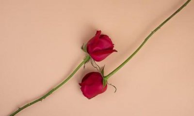 ​女人对一个男人死心了还能挽回吗