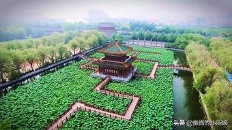 素冒汤的做法（廊坊当地的5种美食做法介绍）