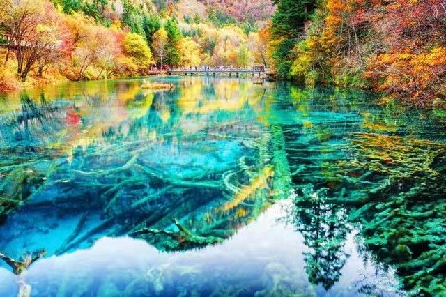 蓝光和超清哪个伤眼睛（显示器伤眼危害讲解）