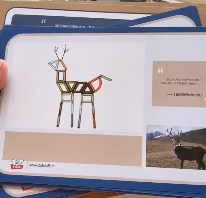 磁力片玩具哪个品牌好（推荐2款最实用的磁力片玩具品牌）