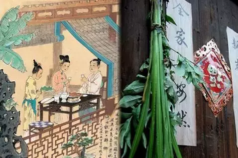 挂艾草的寓意是什么（端午节挂艾草的寓意介绍）