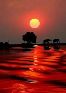 ​心情压抑怎么缓解(如何缓解心情压抑)