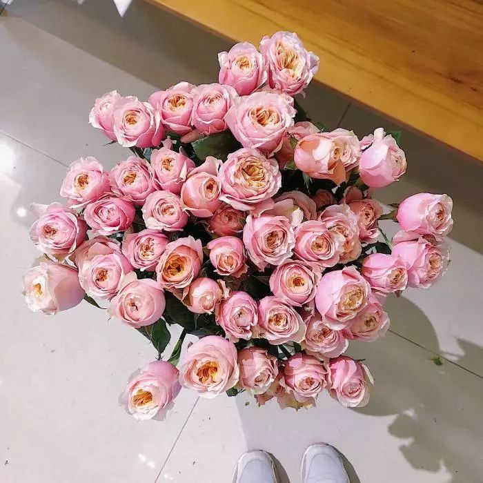 橘色玫瑰花语（一篇文章认全花店必备80种玫瑰花）