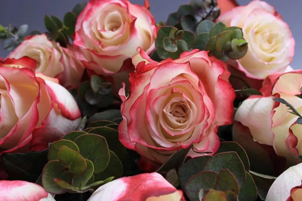 橘色玫瑰花语（一篇文章认全花店必备80种玫瑰花）