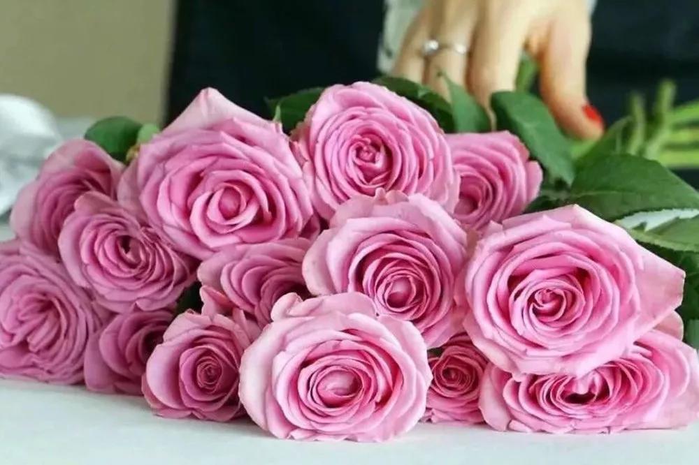 橘色玫瑰花语（一篇文章认全花店必备80种玫瑰花）