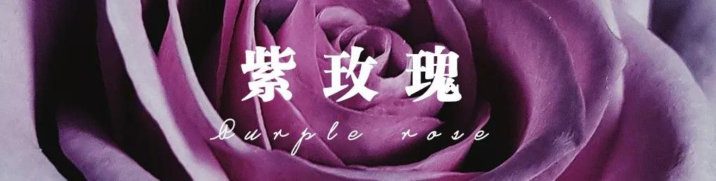 橘色玫瑰花语（一篇文章认全花店必备80种玫瑰花）