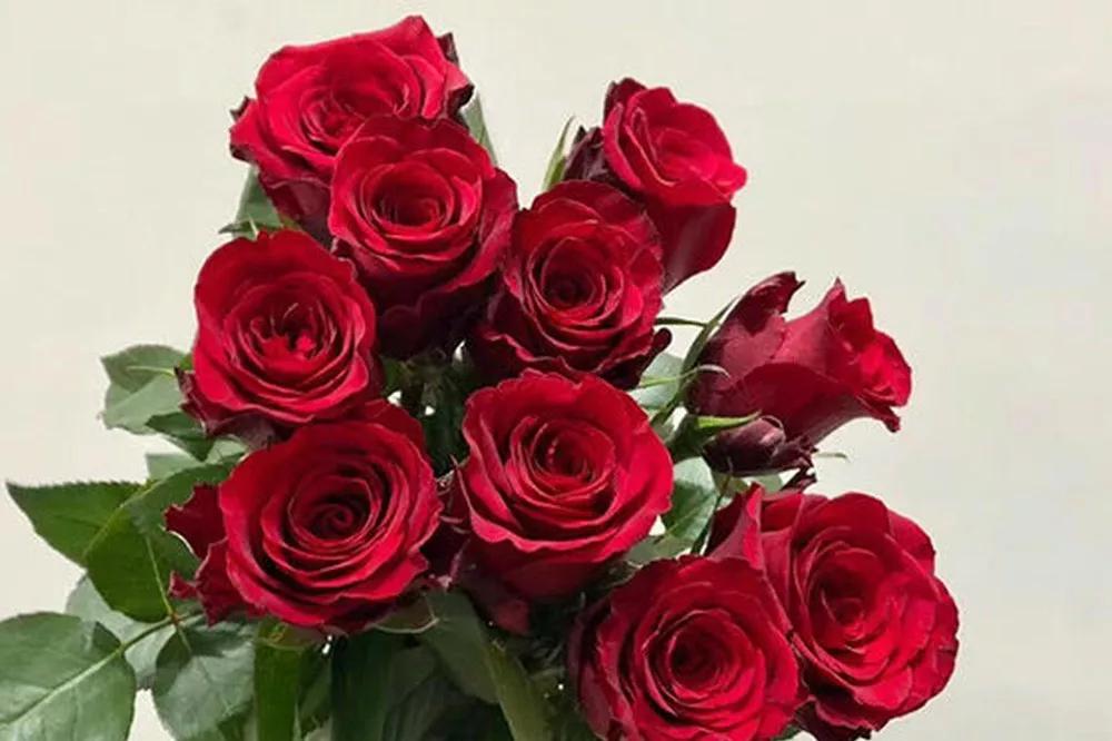 橘色玫瑰花语（一篇文章认全花店必备80种玫瑰花）