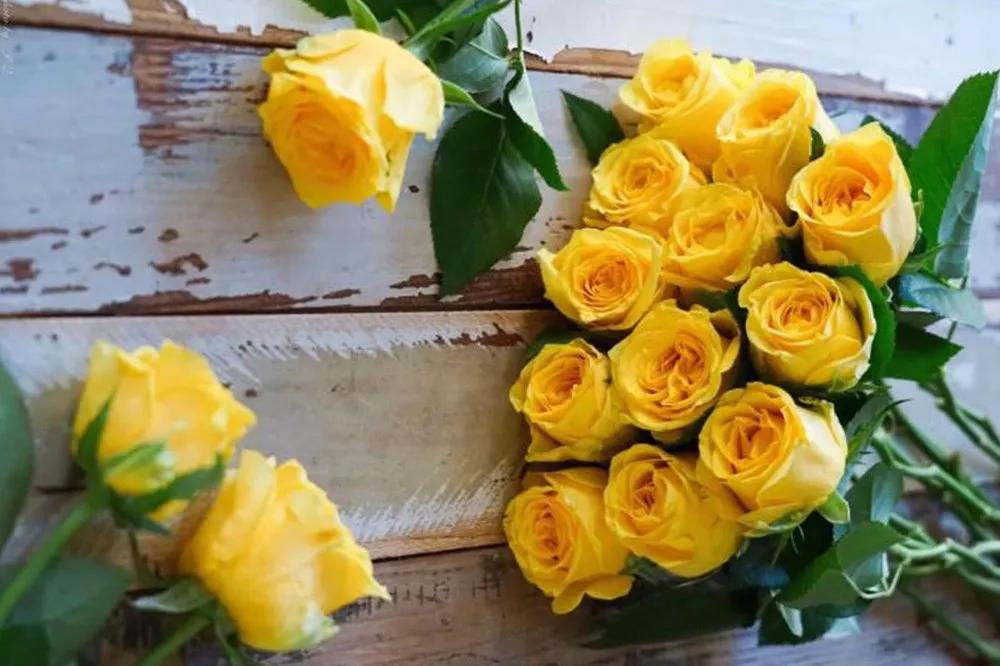 橘色玫瑰花语（一篇文章认全花店必备80种玫瑰花）