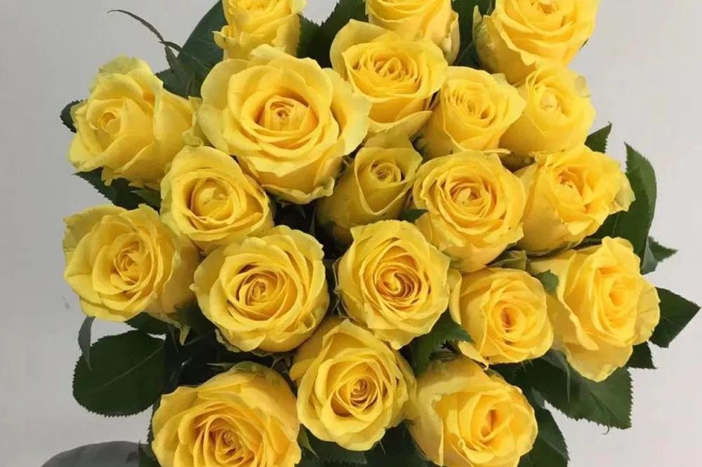 橘色玫瑰花语（一篇文章认全花店必备80种玫瑰花）