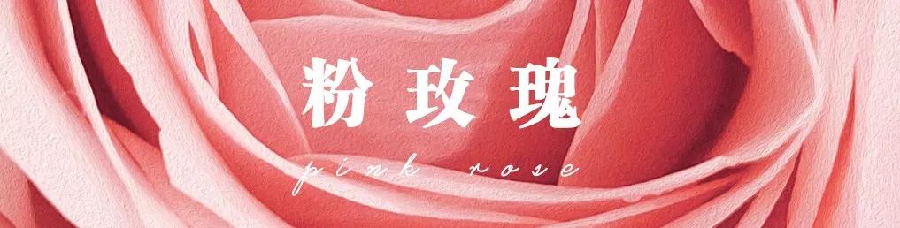 橘色玫瑰花语（一篇文章认全花店必备80种玫瑰花）