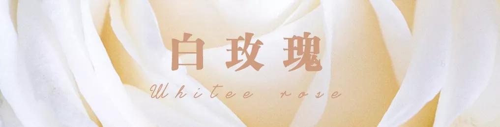 橘色玫瑰花语（一篇文章认全花店必备80种玫瑰花）