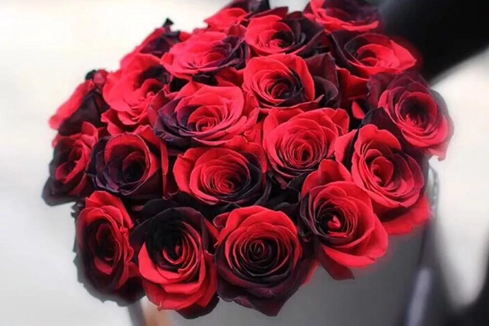 橘色玫瑰花语（一篇文章认全花店必备80种玫瑰花）